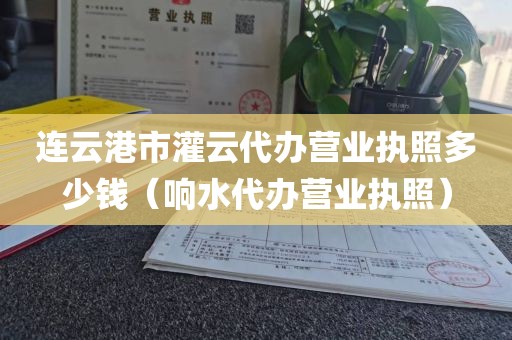 连云港市灌云代办营业执照多少钱（响水代办营业执照）