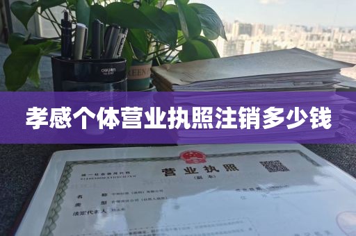 孝感个体营业执照注销多少钱