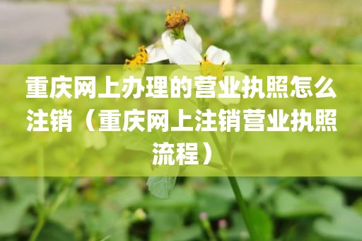 重庆网上办理的营业执照怎么注销（重庆网上注销营业执照流程）