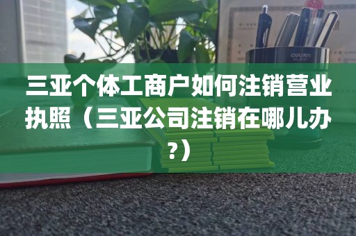 三亚个体工商户如何注销营业执照（三亚公司注销在哪儿办?）
