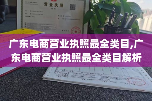 广东电商营业执照最全类目,广东电商营业执照最全类目解析