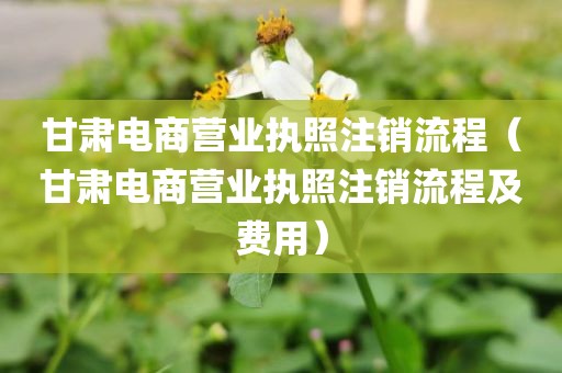 甘肃电商营业执照注销流程（甘肃电商营业执照注销流程及费用）