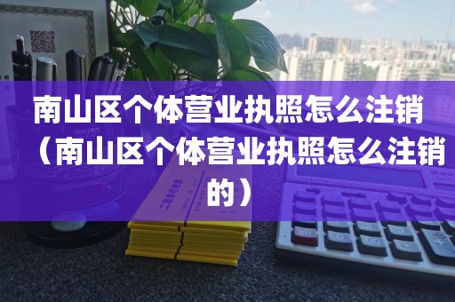 南山区个体营业执照怎么注销（南山区个体营业执照怎么注销的）