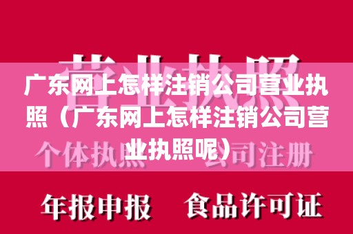 广东网上怎样注销公司营业执照（广东网上怎样注销公司营业执照呢）