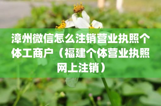 漳州微信怎么注销营业执照个体工商户(福建个体营业执照网上注销)