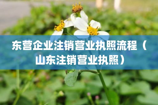 东营企业注销营业执照流程(山东注销营业执照)