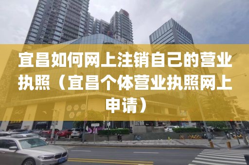 宜昌如何网上注销自己的营业执照（宜昌个体营业执照网上申请）