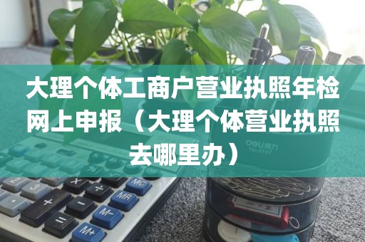 大理个体工商户营业执照年检网上申报（大理个体营业执照去哪里办）