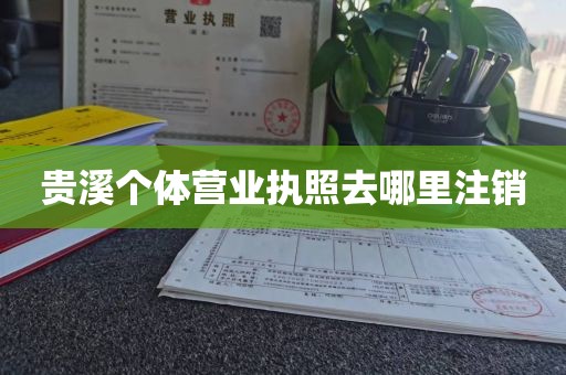 贵溪个体营业执照去哪里注销