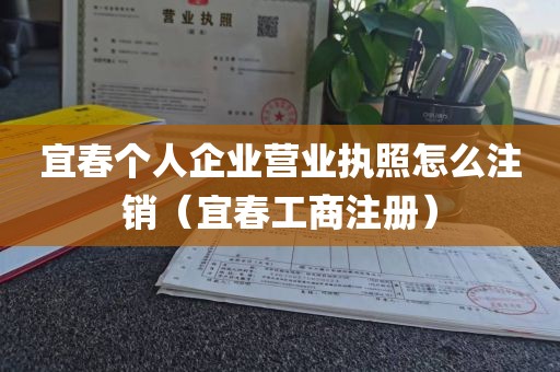 宜春个人企业营业执照怎么注销（宜春工商注册）