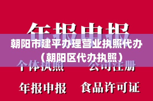朝阳市建平办理营业执照代办（朝阳区代办执照）