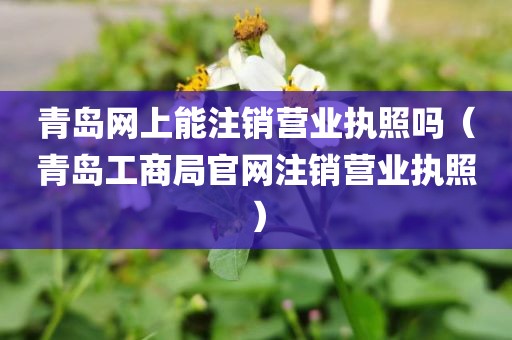 青岛网上能注销营业执照吗（青岛工商局官网注销营业执照）