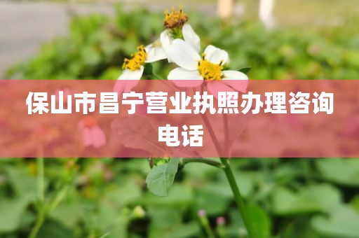 保山市昌宁营业执照办理咨询电话