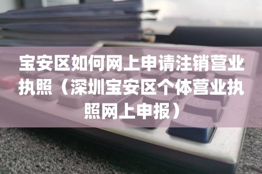 宝安区如何网上申请注销营业执照(深圳宝安区个体营业执照网上申报)