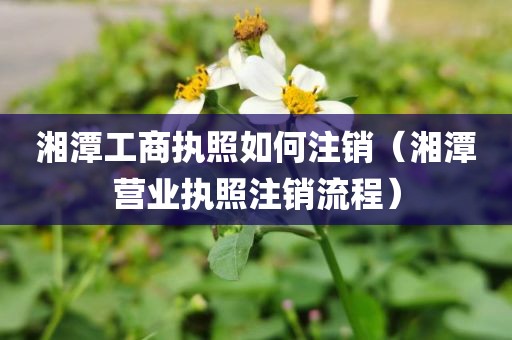 湘潭工商执照如何注销(湘潭营业执照注销流程)