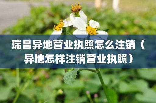 瑞昌异地营业执照怎么注销(异地怎样注销营业执照)