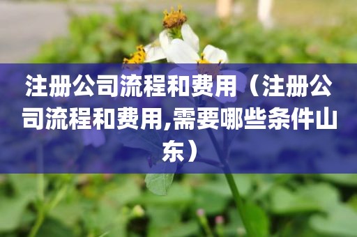注册公司流程和费用（注册公司流程和费用,需要哪些条件山东）