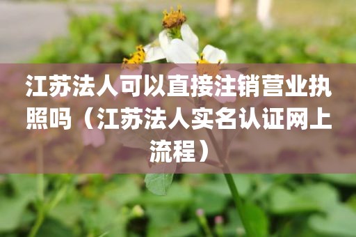 江苏法人可以直接注销营业执照吗（江苏法人实名认证网上流程）