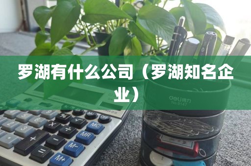 罗湖有什么公司（罗湖知名企业）