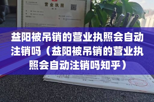 益阳被吊销的营业执照会自动注销吗（益阳被吊销的营业执照会自动注销吗知乎）
