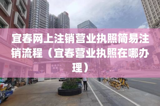 宜春网上注销营业执照简易注销流程（宜春营业执照在哪办理）