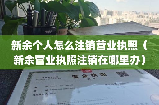 新余个人怎么注销营业执照（新余营业执照注销在哪里办）