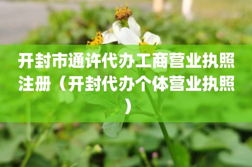 开封市通许代办工商营业执照注册（开封代办个体营业执照）
