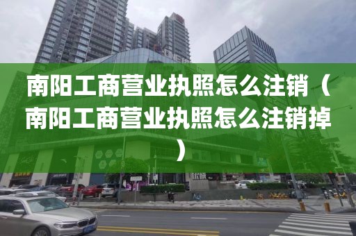 南阳工商营业执照怎么注销（南阳工商营业执照怎么注销掉）