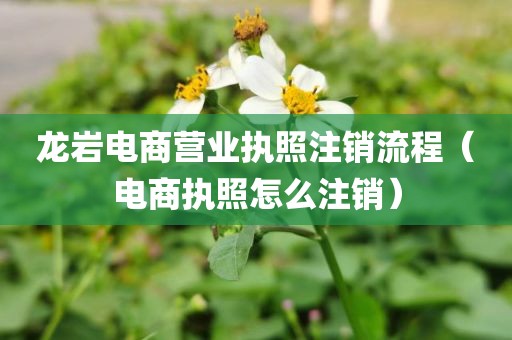 龙岩电商营业执照注销流程（电商执照怎么注销）