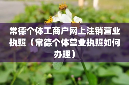常德个体工商户网上注销营业执照(常德个体营业执照如何办理)