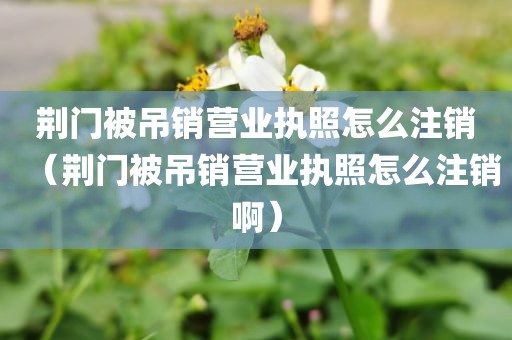 荆门被吊销营业执照怎么注销（荆门被吊销营业执照怎么注销啊）