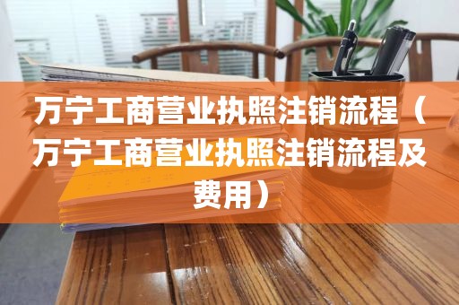 万宁工商营业执照注销流程（万宁工商营业执照注销流程及费用）