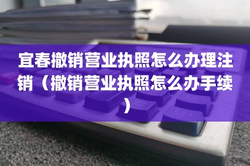 宜春撤销营业执照怎么办理注销（撤销营业执照怎么办手续）