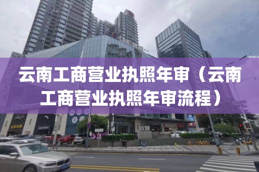 云南工商营业执照年审（云南工商营业执照年审流程）