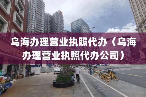 乌海办理营业执照代办（乌海办理营业执照代办公司）