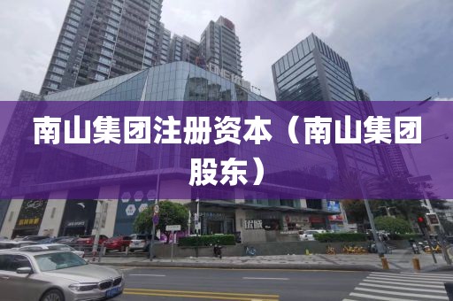 南山集团注册资本(南山集团股东)