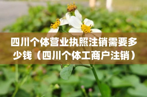 四川个体营业执照注销需要多少钱(四川个体工商户注销)