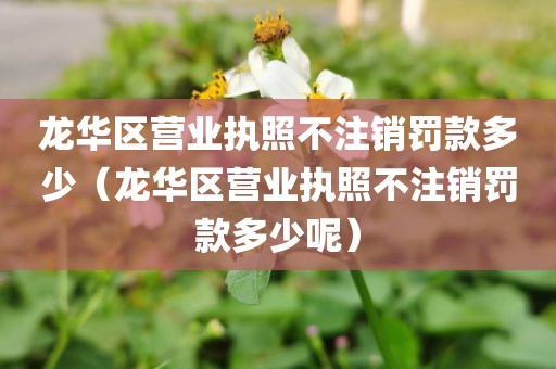 龙华区营业执照不注销罚款多少（龙华区营业执照不注销罚款多少呢）