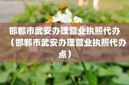 邯郸市武安办理营业执照代办(邯郸市武安办理营业执照代办点)