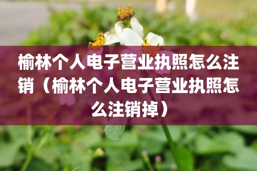 榆林个人电子营业执照怎么注销（榆林个人电子营业执照怎么注销掉）