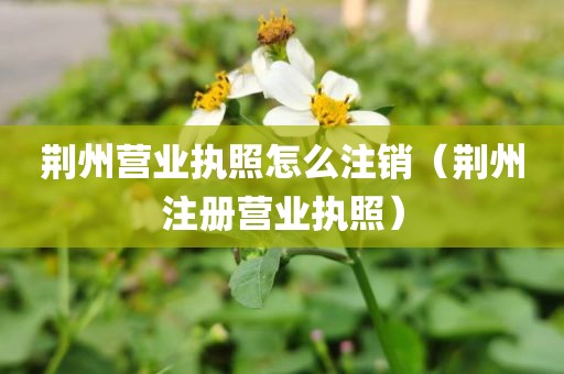 荆州营业执照怎么注销（荆州注册营业执照）