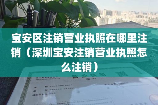 宝安区注销营业执照在哪里注销（深圳宝安注销营业执照怎么注销）