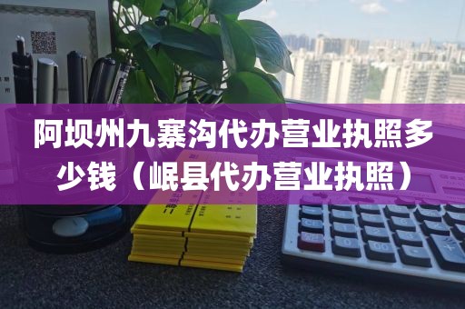 阿坝州九寨沟代办营业执照多少钱（岷县代办营业执照）