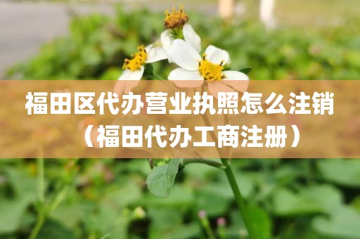 福田区代办营业执照怎么注销（福田代办工商注册）