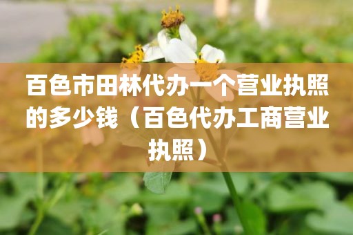 百色市田林代办一个营业执照的多少钱（百色代办工商营业执照）