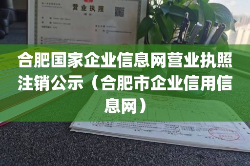 合肥国家企业信息网营业执照注销公示（合肥市企业信用信息网）