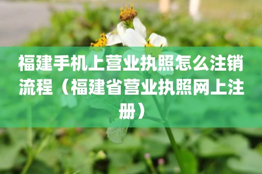 福建手机上营业执照怎么注销流程（福建省营业执照网上注册）