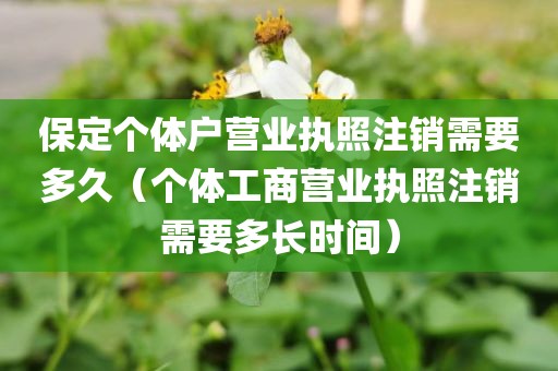 保定个体户营业执照注销需要多久（个体工商营业执照注销需要多长时间）