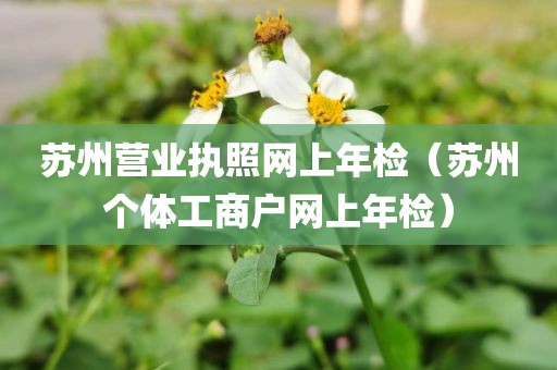 苏州营业执照网上年检（苏州个体工商户网上年检）