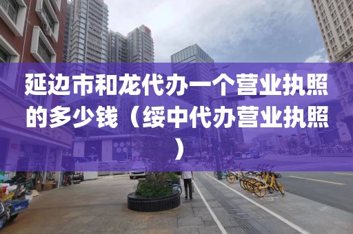 延边市和龙代办一个营业执照的多少钱（绥中代办营业执照）